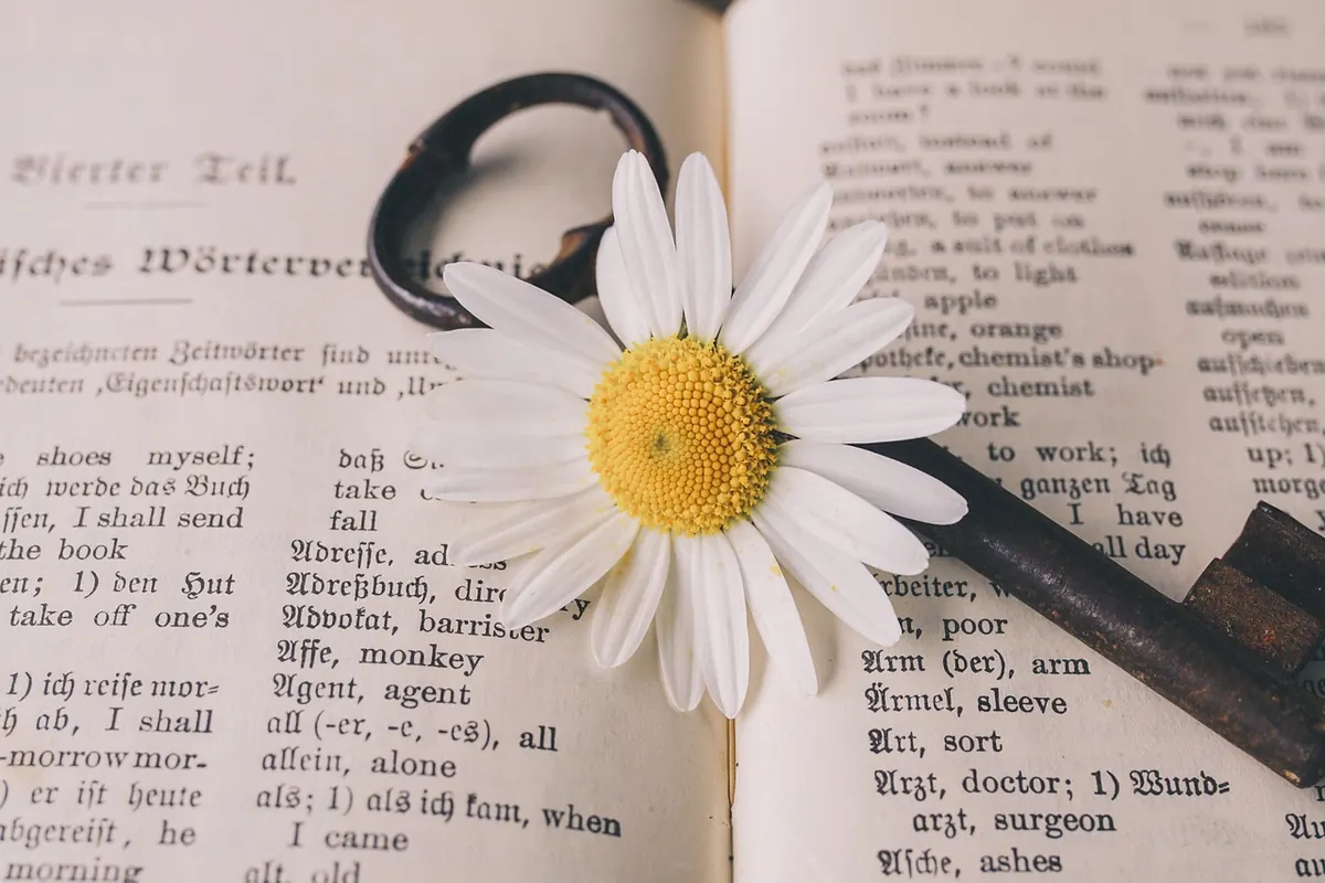 The Passive Voice in Fiction: When to Use It and When to Cut It